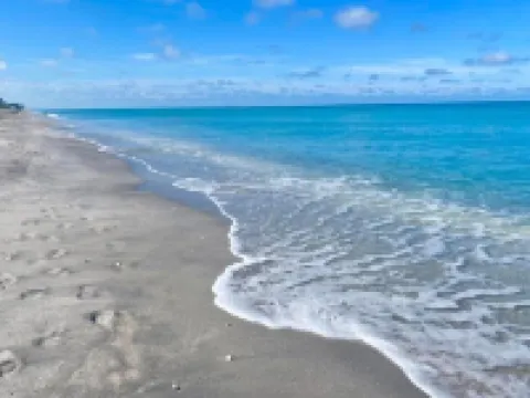 Cozy Treehouse-One-of a Kind Stay-Only 5 Minutes to Beach. Beach Gear Included!