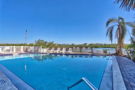 Sea Shell 14 - Premier