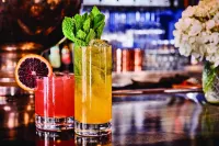 The Collector Inn & Gardens - bar