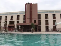 South Star International Hotel - Pools