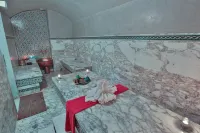 市中心皇家鬱金香酒店 - SPA