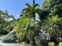 Villa Nilaja Hotels in 