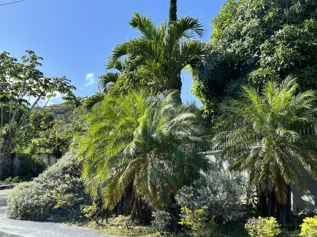 Villa Nilaja Отели в г. Монтего-Бей