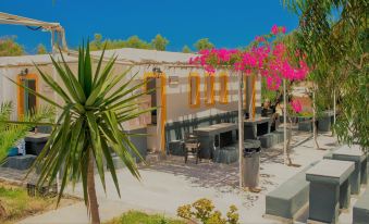 Santorini Camping & Hostel