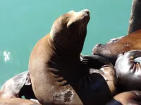 아빌라 비치 리트리트