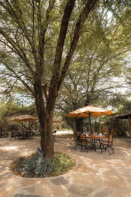 Mara Big Five Lodge Hotels in Serena
