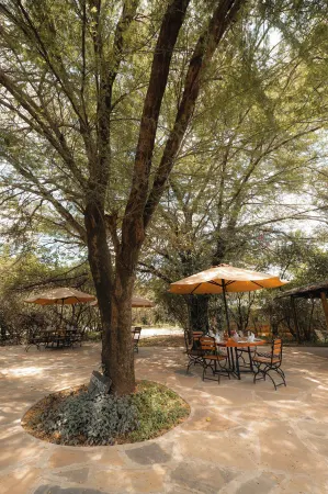 Mara Big Five Lodge Отели рядом с достопримечательностью «Mara Triangle»