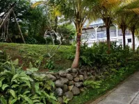 Quiet cottage in beautiful location on the edge of rainforest, Hotel di 