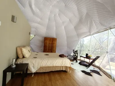 Dome Solar Studio Escape <br>Set in native forest high in the Blue Mountains. Enjoy Coxs Cave附近的飯店