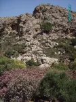 1 Bedroom Apartment in Zakros Crete