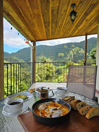 Cabaña en la Montaña Cerca del Parque Nacional Tapantí Orosi, Cartago Costa Rica Отели в г. Параисо