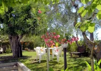 Puutarhatalo Gargano Macchia Liberassa, 10 Minuutin Päässä Mattinatasta Hotels in Mattinata