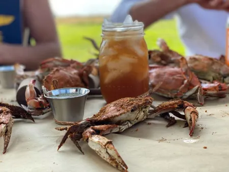 Alpaca Farm on Chesapeake Bay - 86 Private Acres, Heated Pool, Beach, 600' Pier