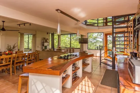 Incredible Tropical Retreat Full of Monkeys, Sloths, Toucans and much more