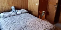 Chalet with fabulous view of Lake Geneva close to Piste and Telecabin