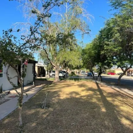 Home on Yucca