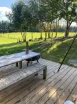 Cricklewood Farmstay, Alpaca walk and hot tub Hotels in Coal Stream