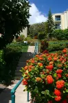 Amazing Condo in Cowpet Bay West, Steps From the Beach, Pool and Restaurants