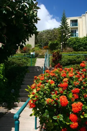 Amazing Condo in Cowpet Bay West, Steps From the Beach, Pool and Restaurants