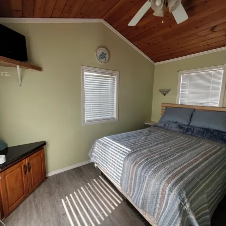 The Sleepy Turtle, with Pool Access!