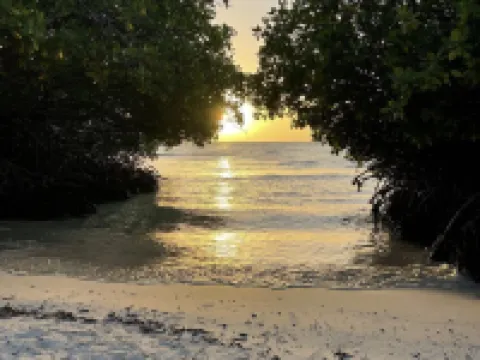 Oceanfront @ Mangel Halto Beach, Snorkel, Scuba, Beach Hotels in Savaneta