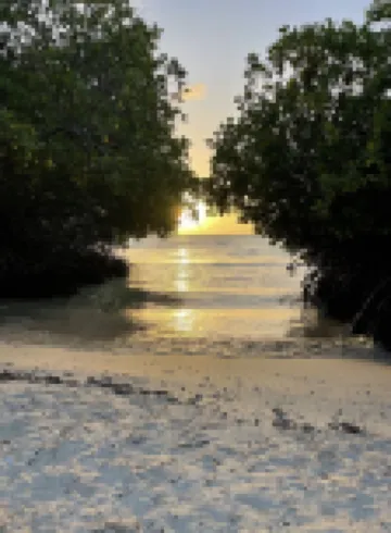Oceanfront @ Mangel Halto Beach, Snorkel, Scuba, Beach
