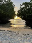 Oceanfront @ Mangel Halto Beach, Snorkel, Scuba, Beach