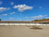 Stay Easy Inn Hotels in Roblin