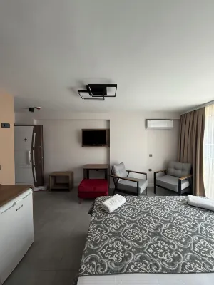 D'Premium Edirne Hotels in 