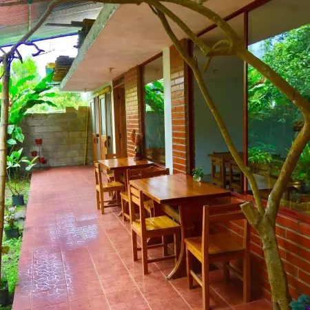 Cabañas Armonía y Jardín de Orquídeas