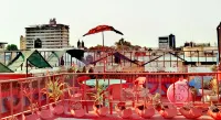 The Roof Backpackers - navette aéroport