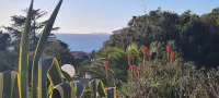 Ground-floor apartment with garden and barbecue near beach and shops.