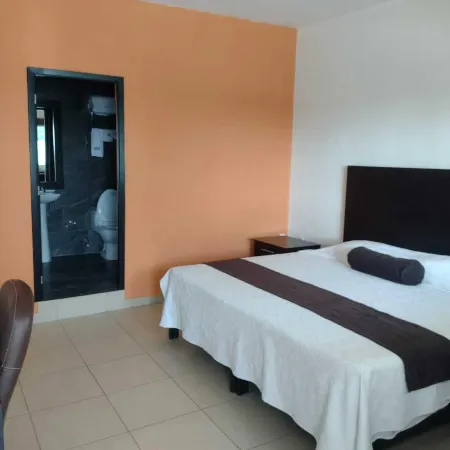 Hotel Centro Valles