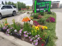 Dockside Inn Hotels in Cold Lake