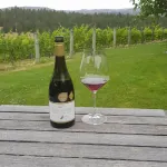 Hawkdun Rise Vineyard & Accommodation Hotels in Alexandra