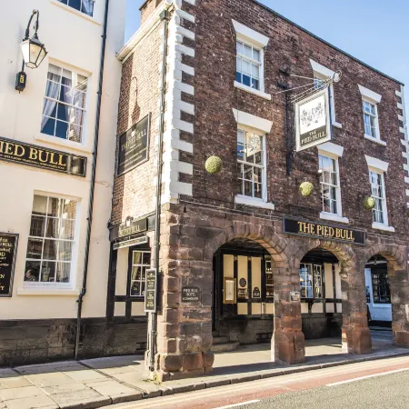 The Pied Bull