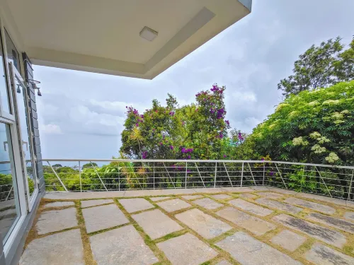 아이벡스 리조트 쿠누르 타파스