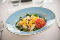 Hotel Tritone Hotels in Laigueglia