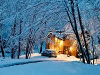 Cozy House with a Lovely Treehouse. 7-Person Hot Tub. Pet Friendly. Hiking. Lake