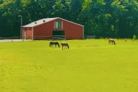The Barn - With Covered Boat Parking