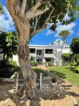 Renovated Bahia Vista 2nd floor 2 bedroom garden condo with partial Gulf views