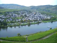 Apartment in Zell an der Mosel, Germany Hotels in Zell