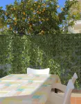 Apartments Isabora فنادق في Komolac