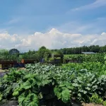 Otter Creek View! 2-Bedroom house with all the amenities! Hotels in Ferrisburgh