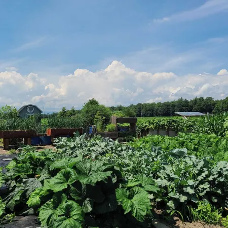 Otter Creek View! 2-Bedroom house with all the amenities! Отели в г. Феррисбург