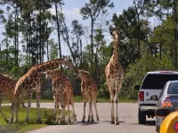 Pool, Hot tub, Kid & Pet Friendly! Near Lake, CLEAN Hotels in Okeechobee County