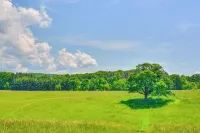 Timeless Hillsville Farmhouse Blue Ridge Parkway! - parking