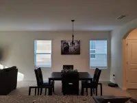 Brand new modern home near the heart of Tampa