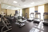 Dollywood's DreamMore Resort and Spa - Gym