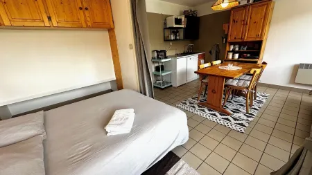 Cosy apartment Pied de Piste (Prorel gondola) / Downtown